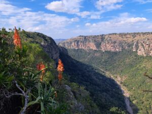 Oribi Gorge