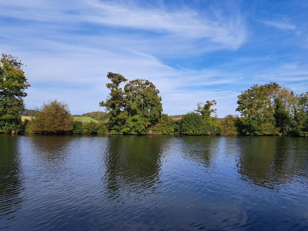 Thames River Cruises